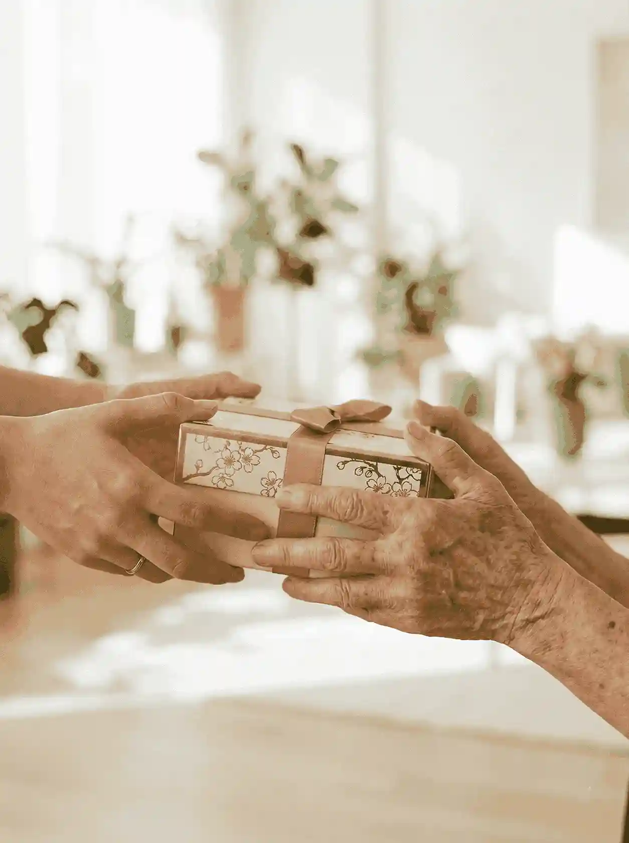 Luxury Bird Nest Hamper